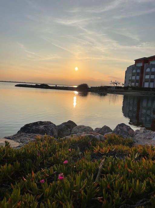 Studio Cabine A Barcares Le Barcarès Dış mekan fotoğraf
